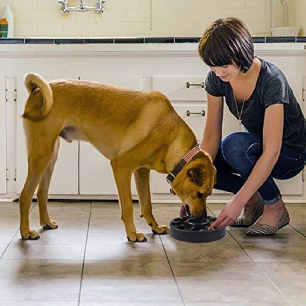 PawSlow • Dog Feeding Bowl Slow - Dog Feeding Bowl Slow - BowLift