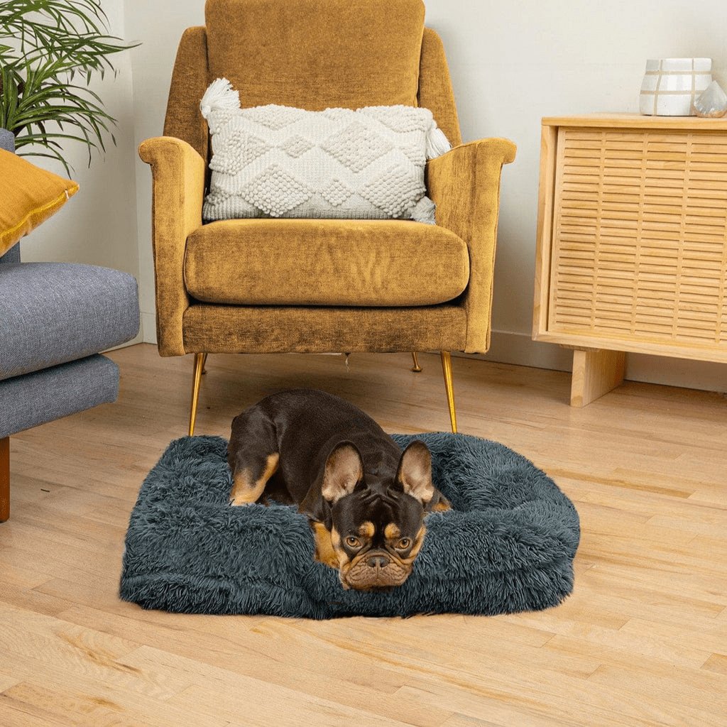 PawsomeRest - The Ultimate Orthopedic Dog Bed - Orthopedic Dog Bed - BowLift