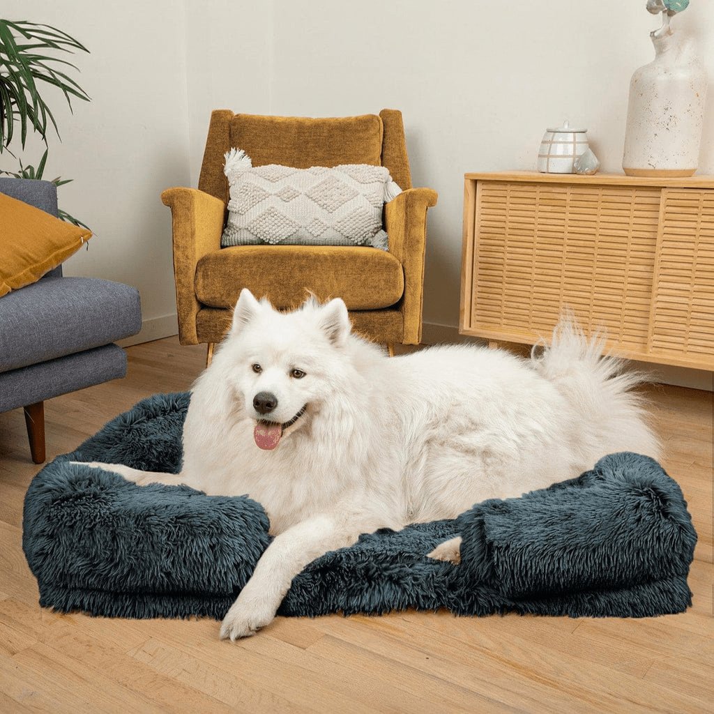 PawsomeRest - The Ultimate Orthopedic Dog Bed - Orthopedic Dog Bed - BowLift