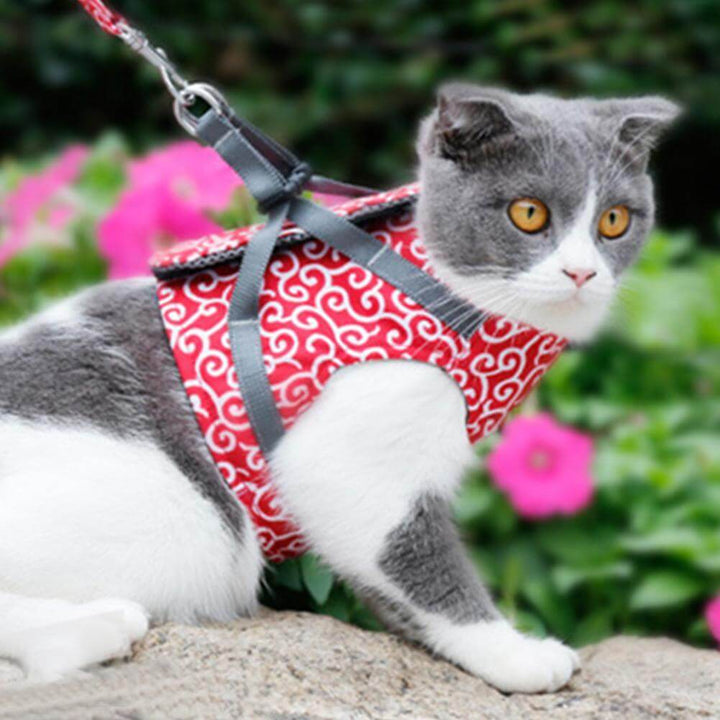 BowLift | PAWVENTURE HARNESS – Cat Harness Vest Set with Breathable Mesh & Leash