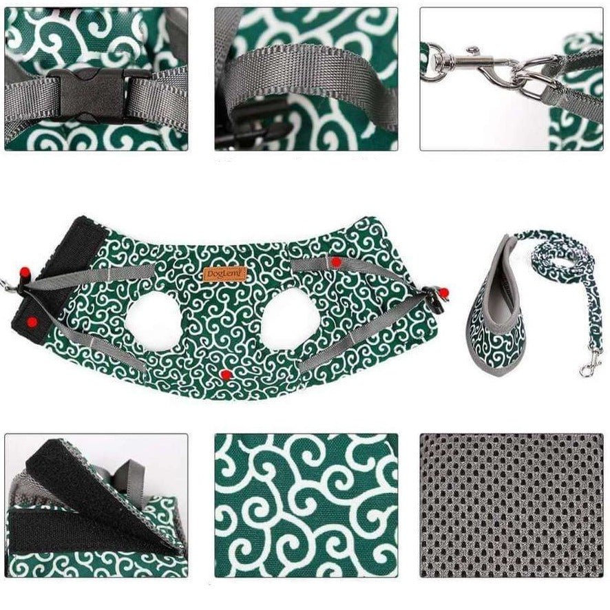 BowLift | PAWVENTURE HARNESS – Cat Harness Vest Set with Breathable Mesh & Leash