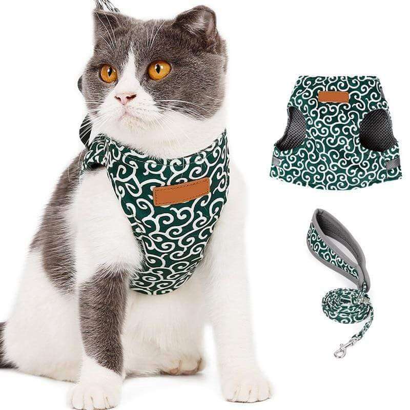 BowLift | PAWVENTURE HARNESS – Cat Harness Vest Set with Breathable Mesh & Leash