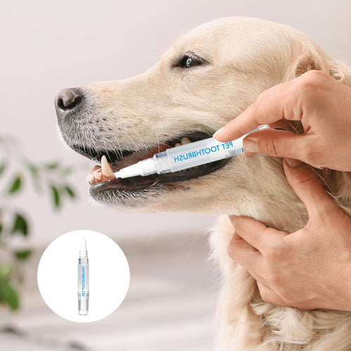 Pet Toothbrush Pen – PetSmile Bowlift