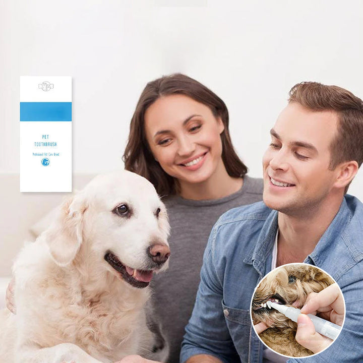 Pet Toothbrush Pen – PetSmile Bowlift