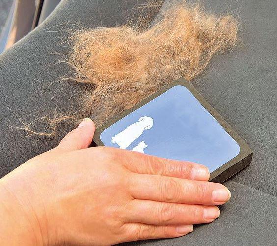 BowLift | Amazing Pet Hair Cleaner Brush
