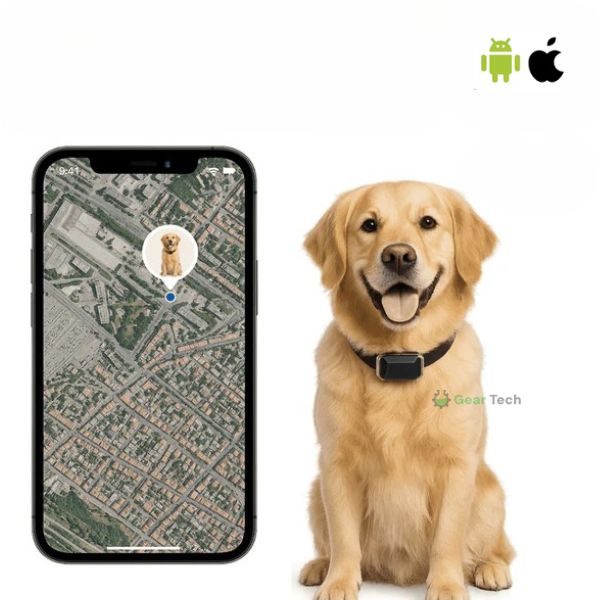 BowLift | GPS Dog Collar | Waterproof, Adjustable & Unlimited Range for Real-Time Tracking