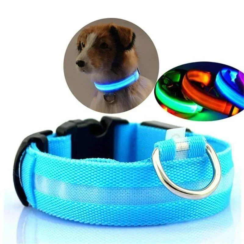 BowLift | GlowPets LED Collar – Safety & Visibility for Pets