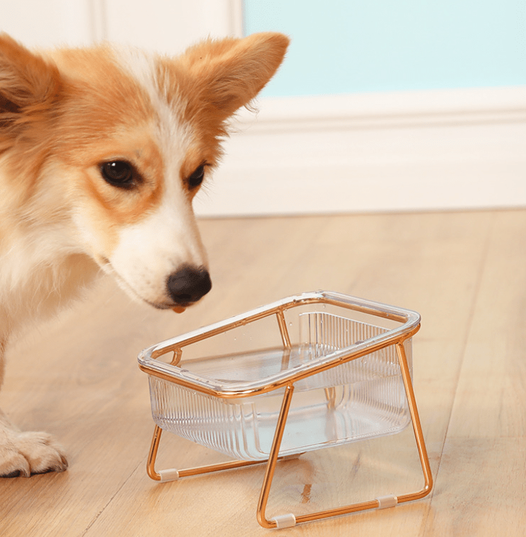 BowLift | PETCHIC Bowl – Elevated Feeding Bowl for Cats & Small Dogs