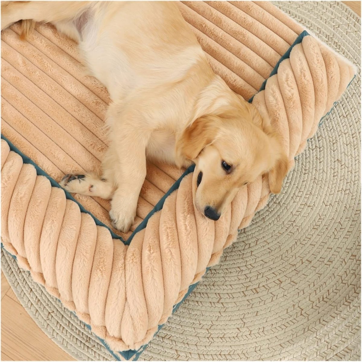 PetCloud • Double Sided Dog Bed - Dog Bed - BowLift