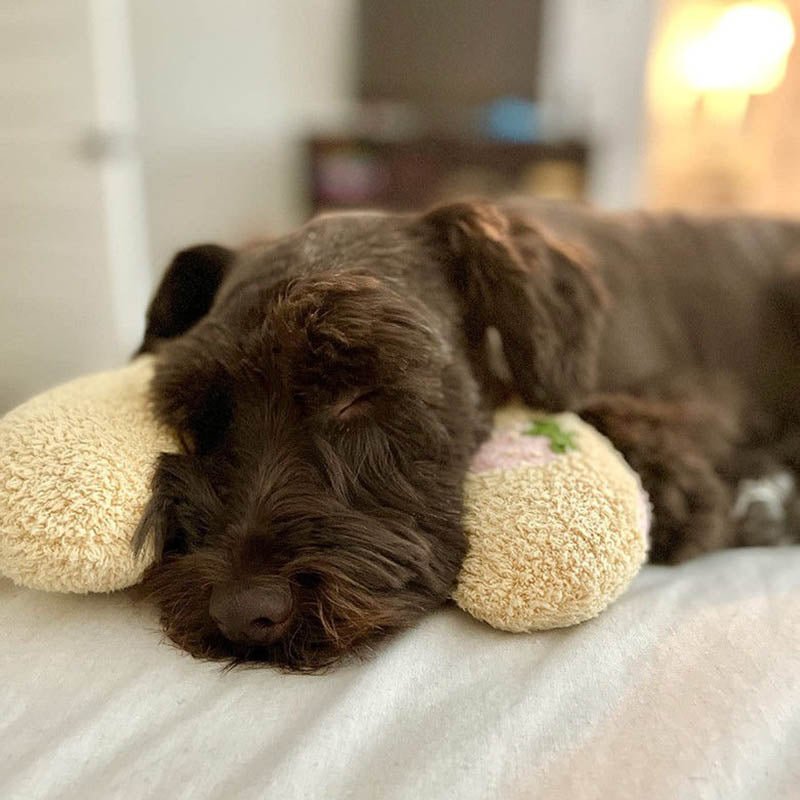 BowLift | PETEASE Luxury – Orthopedic Dog Pillow with Anti-Stress Comfort