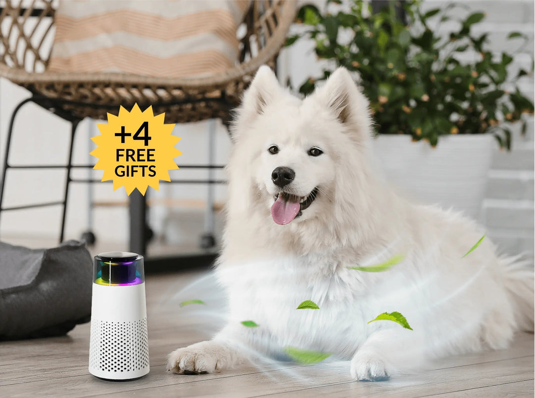 BowLift | PetFresh Animal Scent Humidifier