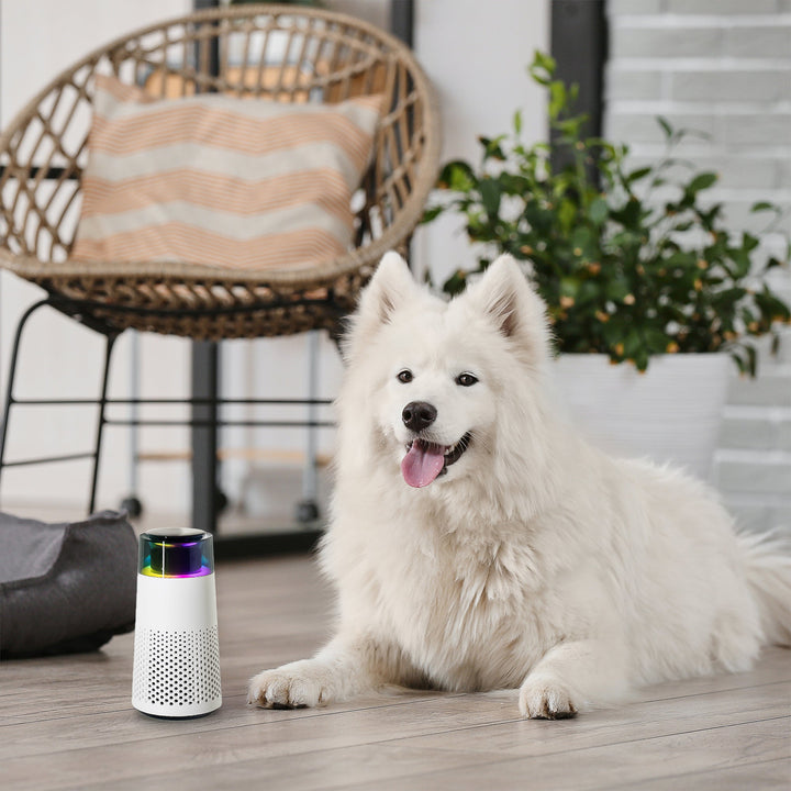 BowLift | PetFresh Animal Scent Humidifier