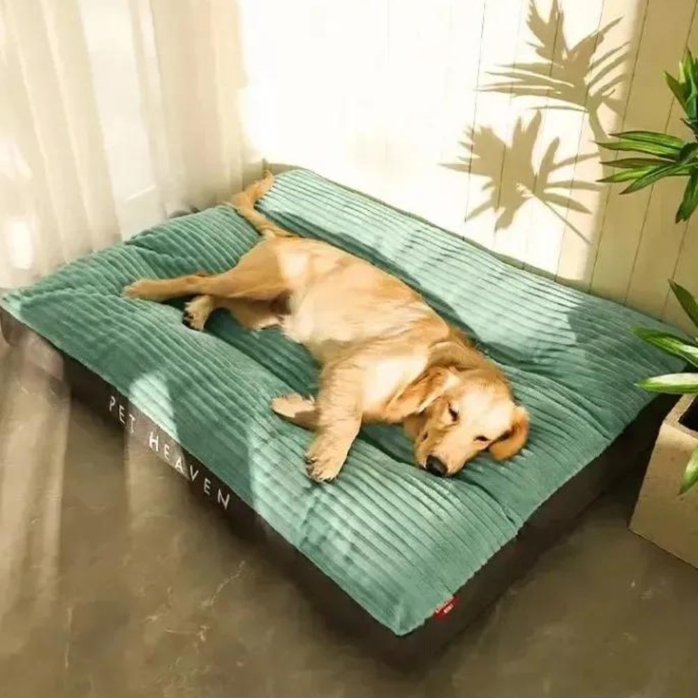 PetHeaven • Oversized Corduroy Bed - Dog Bed - BowLift