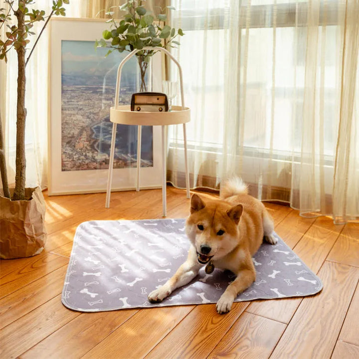 PetPaws Comfort Mat – Leak-Free Pet Mat Bowlift