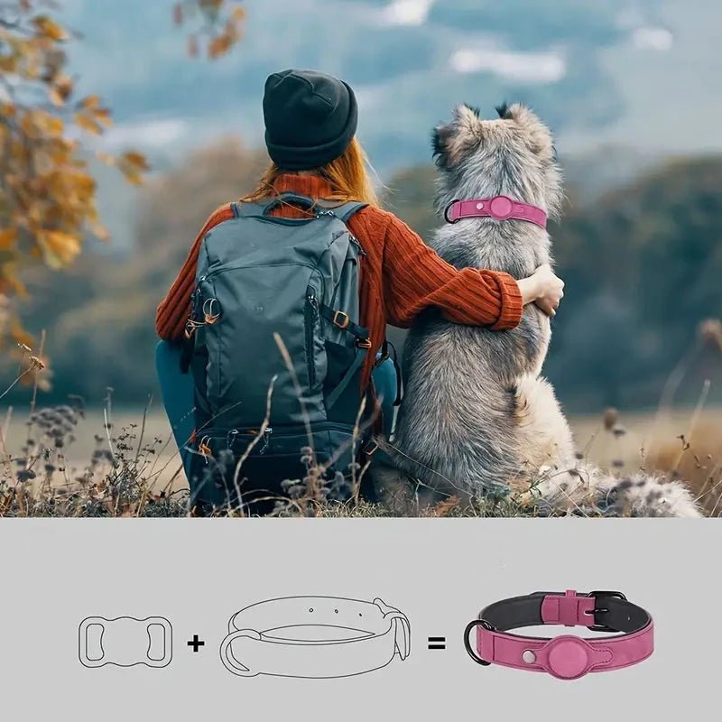 PetSafe • AirTag Dog Collar - AirTag Dog Collar - BowLift