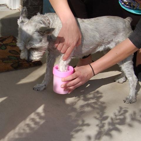 BowLift | Easy Pet Paws Cleaner