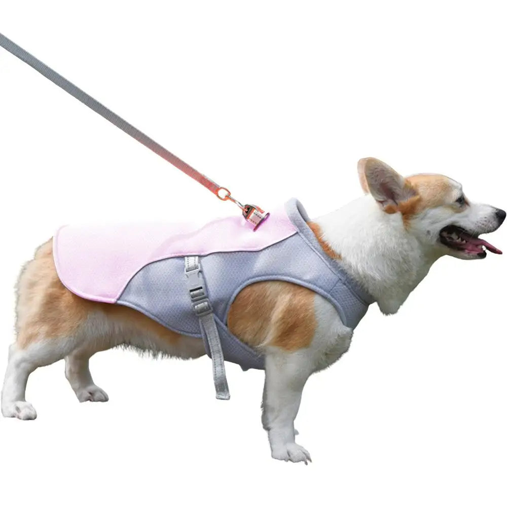 Dog Cooling Vest for Outdoor Activities | Bowlift