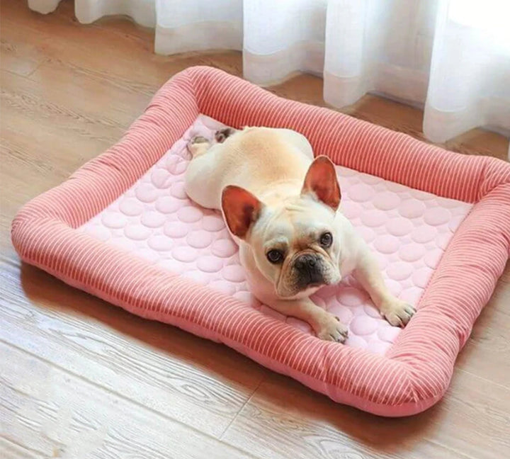 Cooling Dog Bed with Ice Silk Material | Bowlift