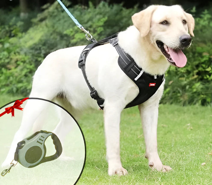 NoPull Dog Harness – WalkEase Bowlift