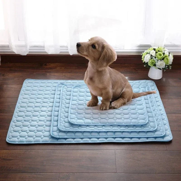 Dog Cooling Mat Summer Pad for Dogs Cat Blanket Breathable Dog Bed Kennel Puppy Sleeping Sofa Cushion Dog Accessories | Bowlift