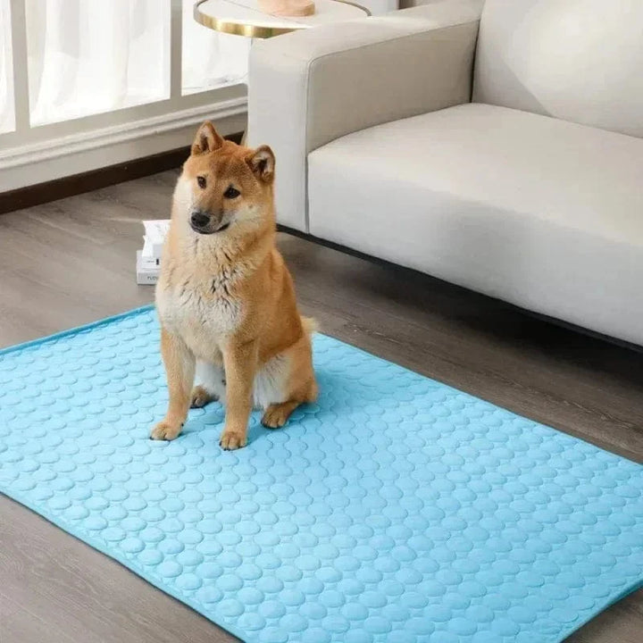 Dog Cooling Pad Ice Silk Fabric Self Cooling Gel Breathable Washable Summer Pet Mat for Dogs Cats Sofa Kennel Bed Comfortable La | Bowlift