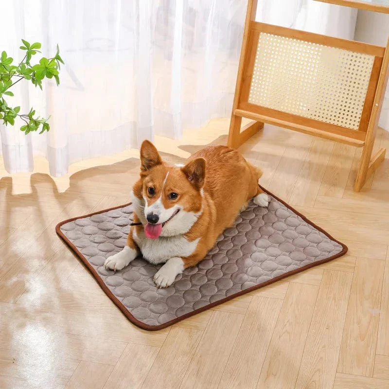 Summer Cooling Pet Mat Gel Ice Pad for Dogs Cats Breathable Soft Kennel Bed Non-Slip Hot Weather Cool Pad Pet Supplies | Bowlift