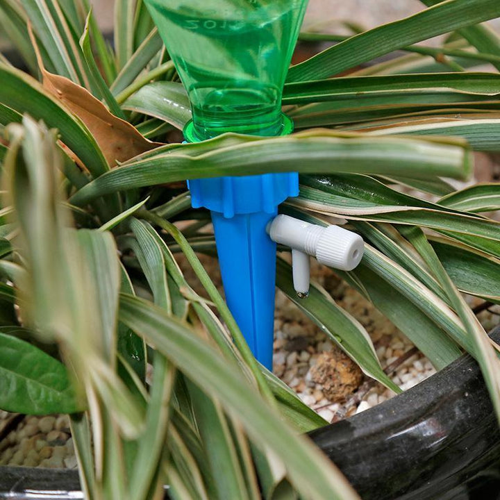 BowLift | Plant Water Funnel (6/12 pcs)