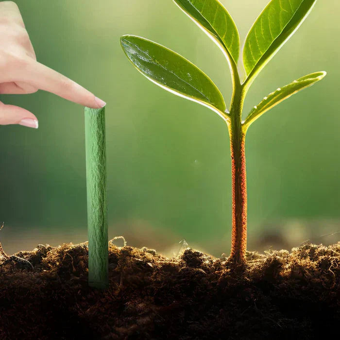 Long-lasting Fertilizer for Easy and Sustainable Plant Care Bowlift