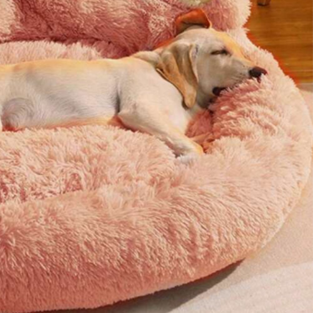 PlushHaven • Plush Paw - Shaped Dog Bed - Dog Bed - BowLift