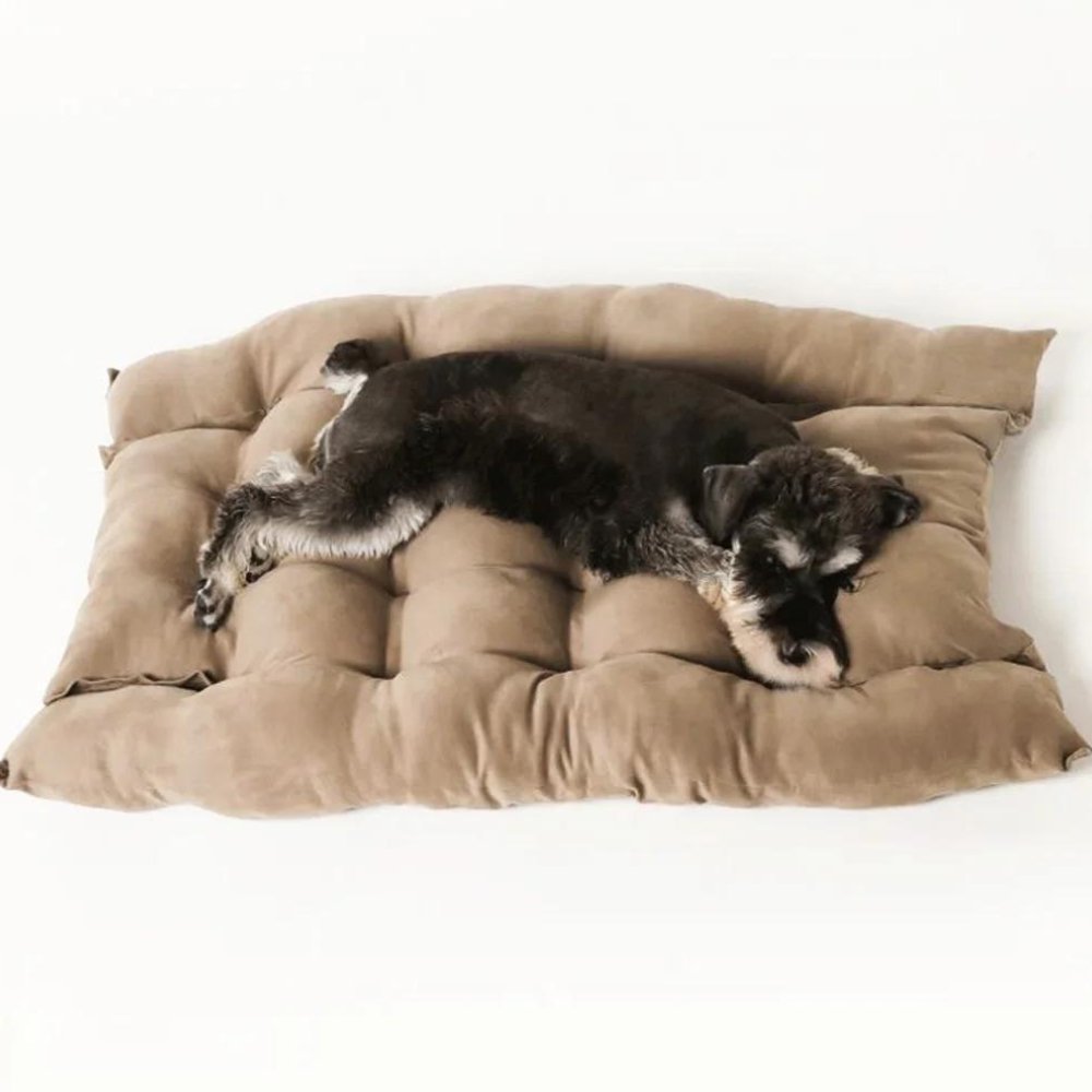 PlushPaws • 3 - in - 1 Dog Bed - Dog Bed - BowLift