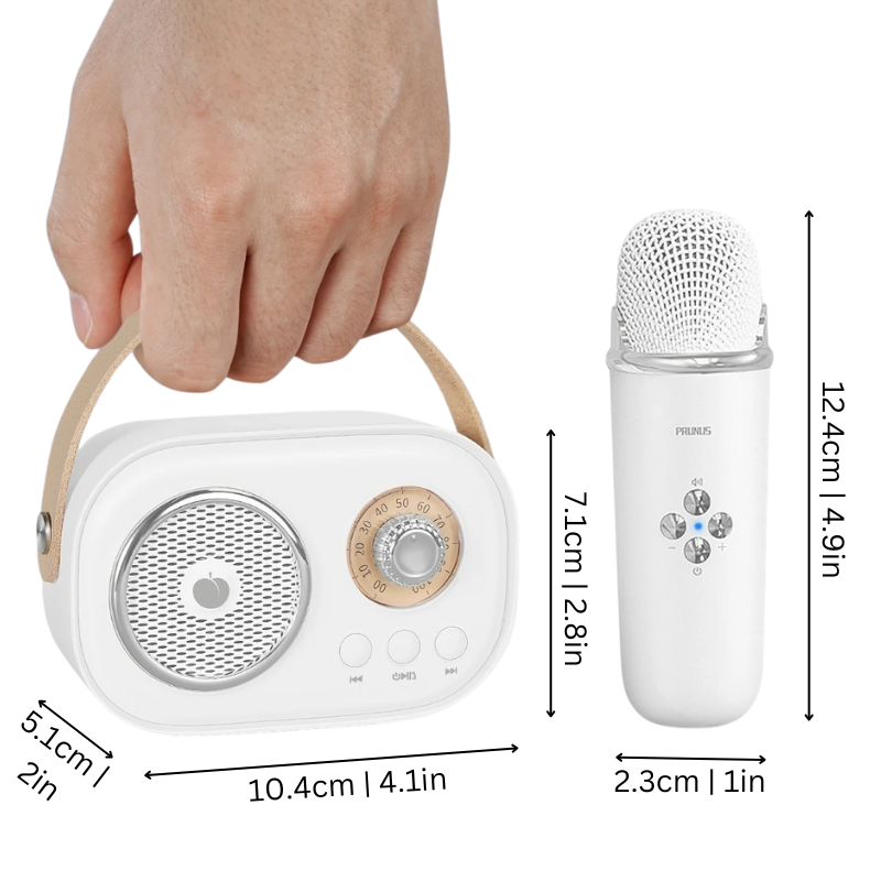 BowLift | Karaoke Machine Retro Bluetooth Music Speaker Set