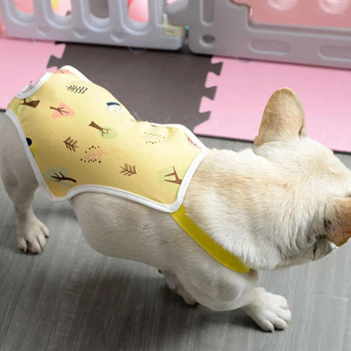 Post - Surgery • Dog Recovery Suit - Dog Recovery Suit - BowLift