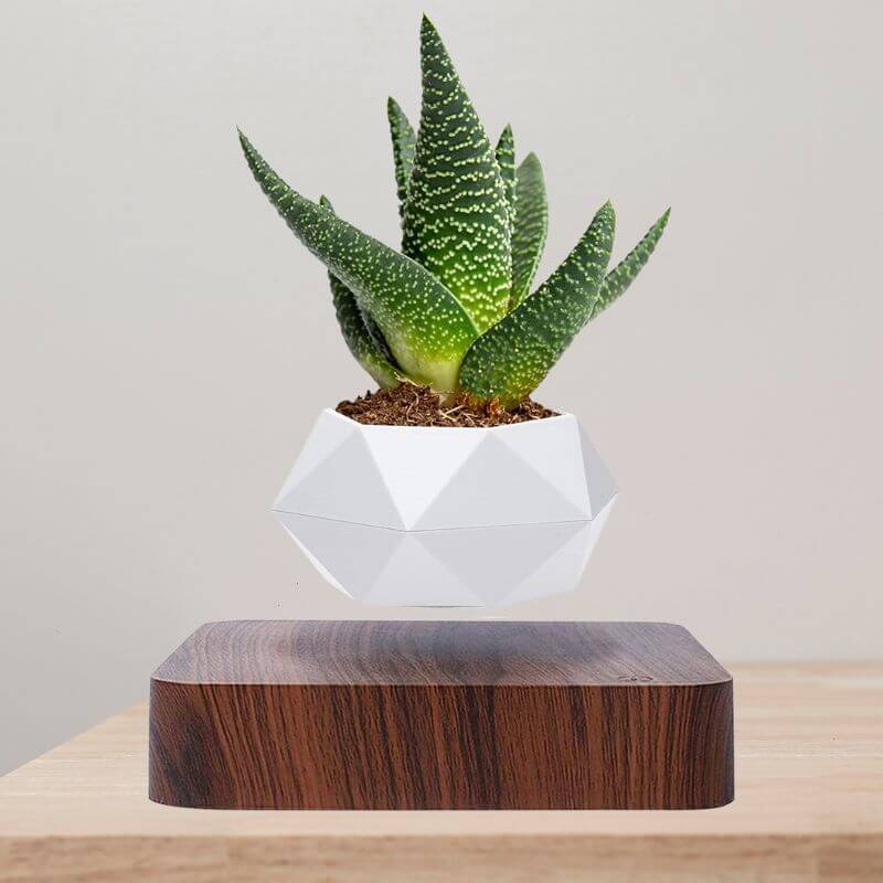 BowLift | Magnetic Levitating Flower Pot with LED Light - Floating Planter for Home Decor & Unique Gifts