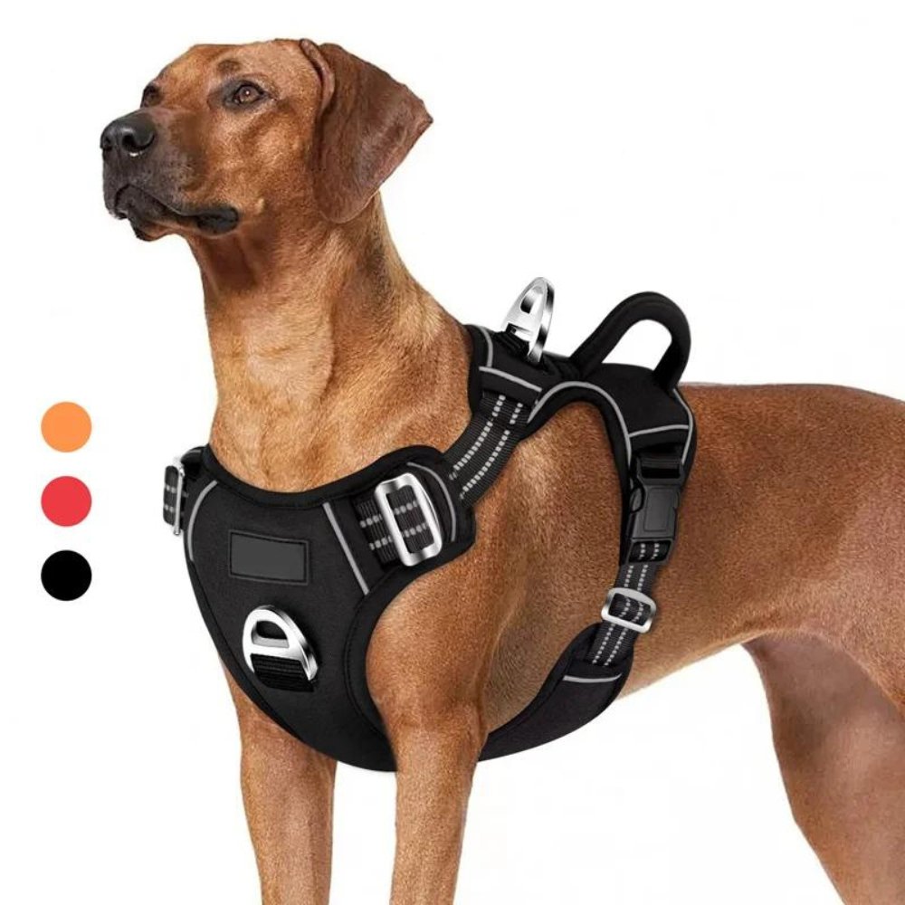 PowerHarness • No Pull Dog Harness - No Pull Dog Harness - BowLift