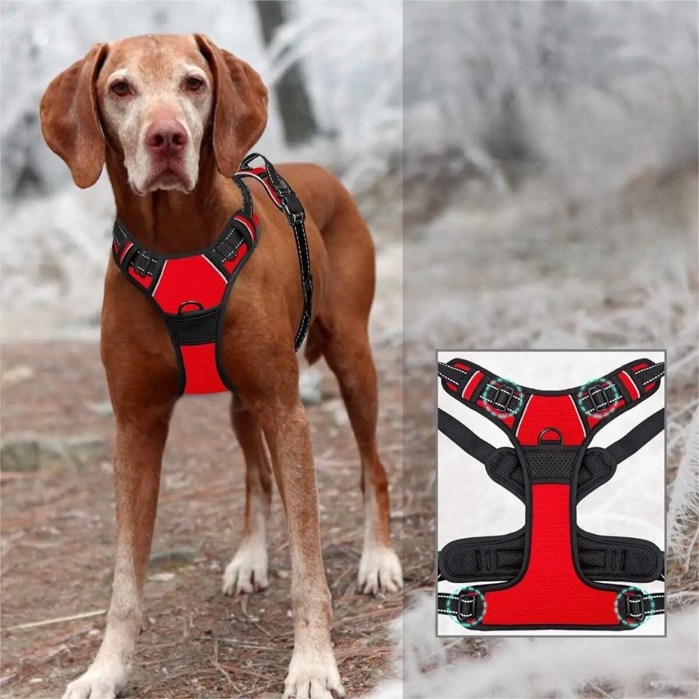 PowerPaw • No Pull Dog Harness - No Pull Dog Harness - BowLift