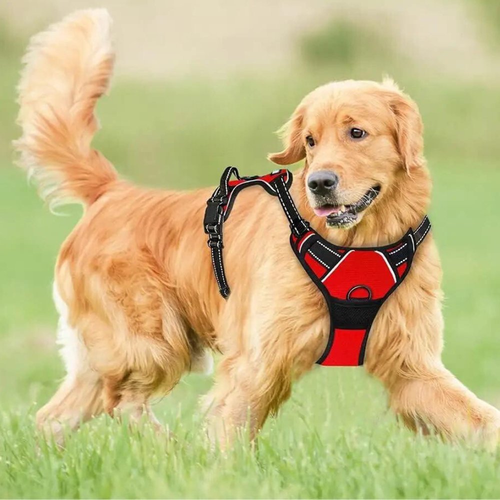 PowerPaw • No Pull Dog Harness - No Pull Dog Harness - BowLift