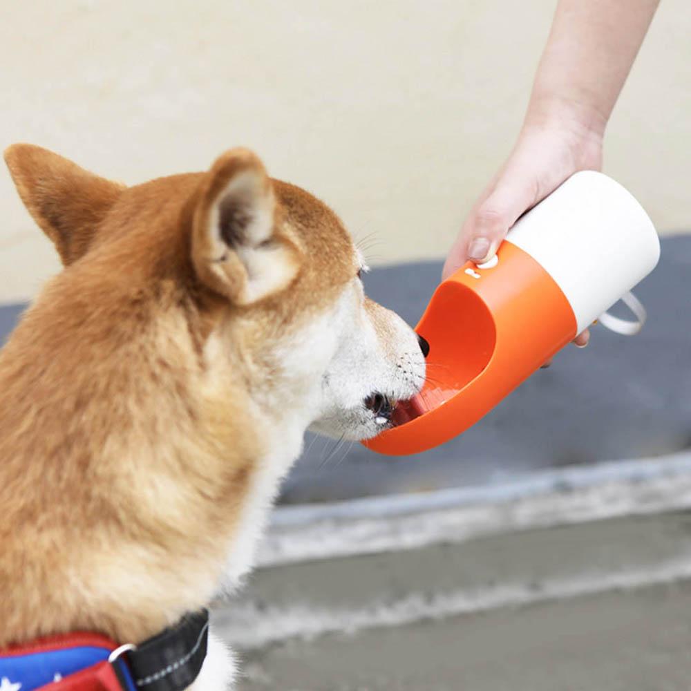 HydraPet - Portable Water Bottle & Cup | Bowlift