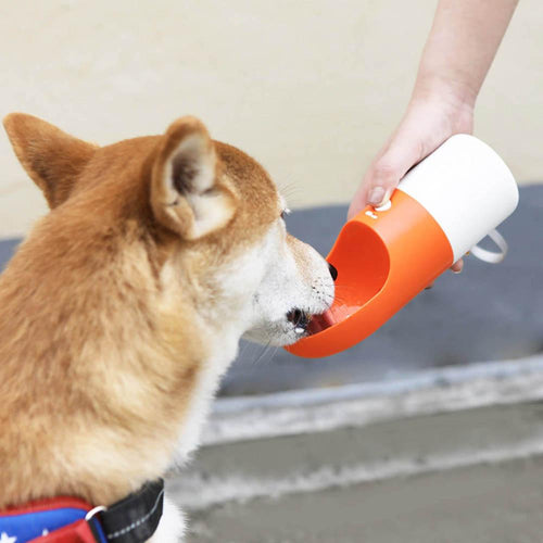 HydraPet - Portable Water Bottle & Cup | Bowlift