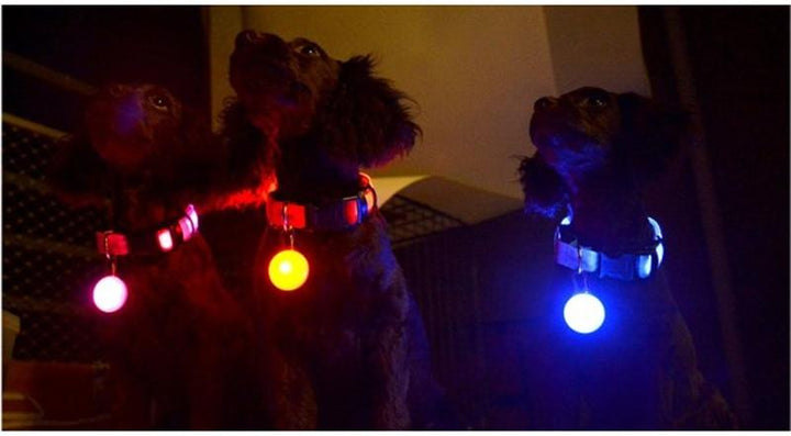 LED Flash Dog Collar Pendant | Bowlift
