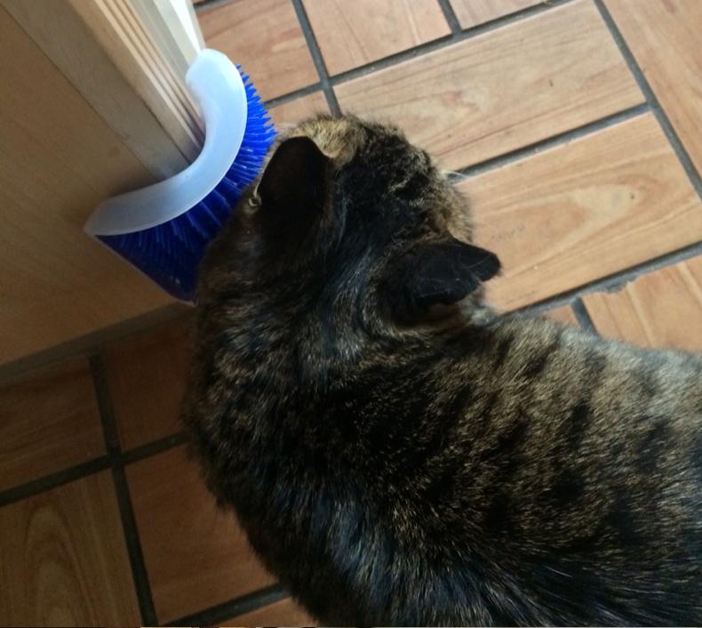KittyRub - Cat Massage Comb | Bowlift