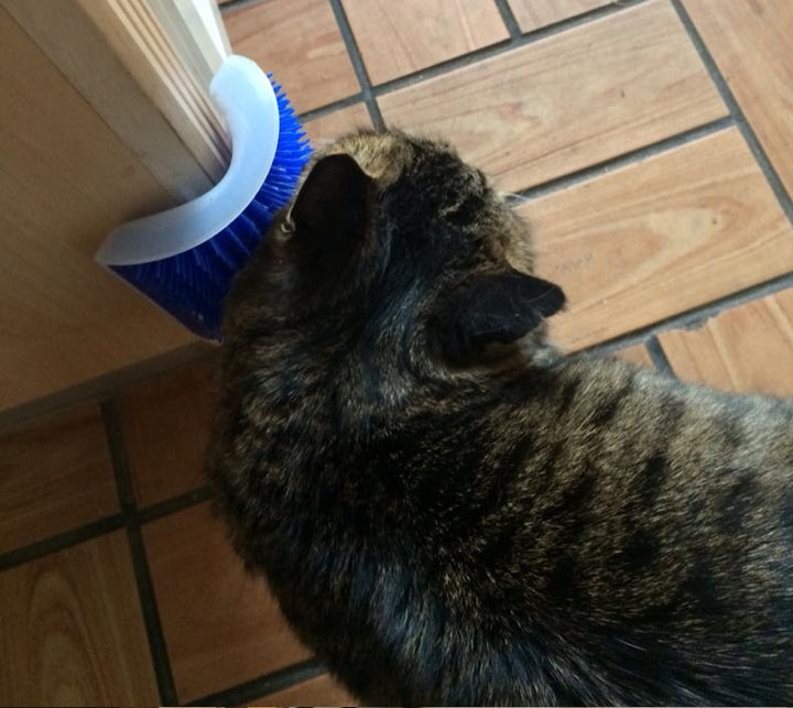 KittyRub - Cat Massage Comb | Bowlift