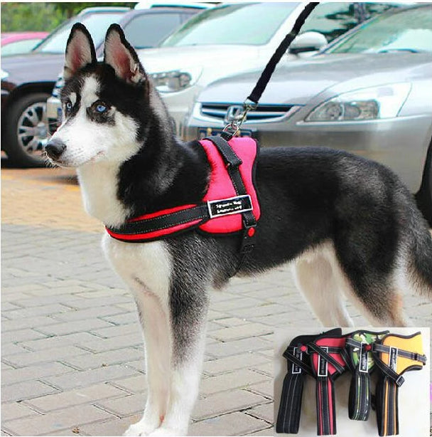 Dog Walking Harness | Bowlift
