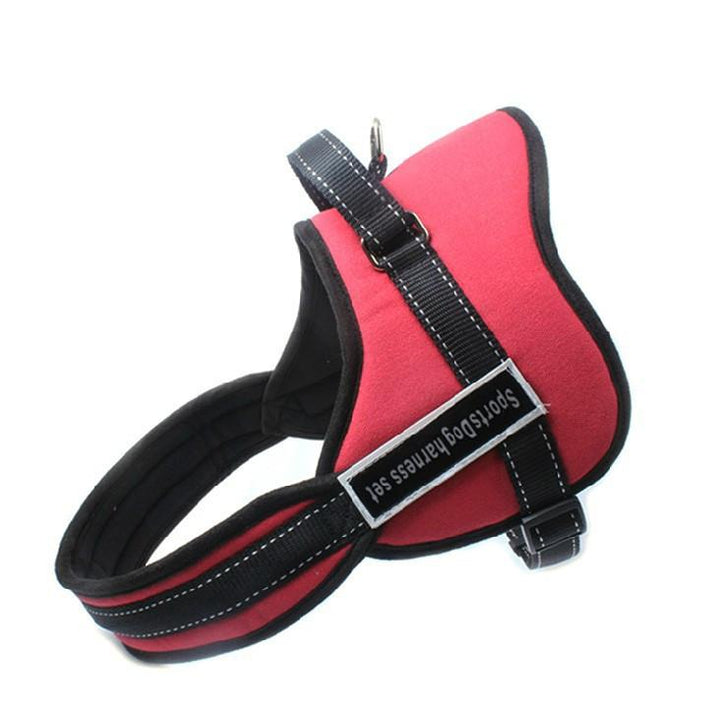 Dog Walking Harness | Bowlift