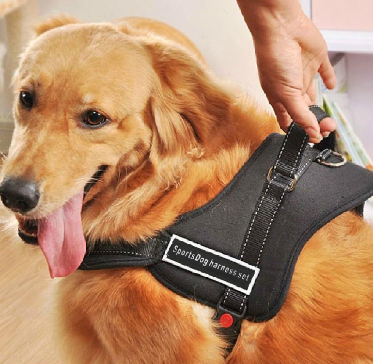 Dog Walking Harness | Bowlift