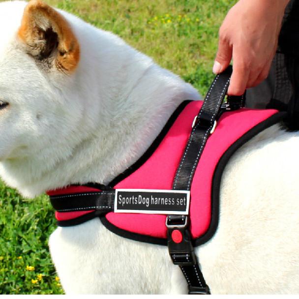 Dog Walking Harness | Bowlift