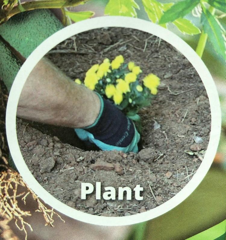 BowLift | Claws Garden Gloves