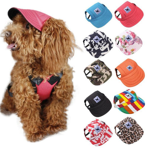 BowLift | Canvas Dog Hat