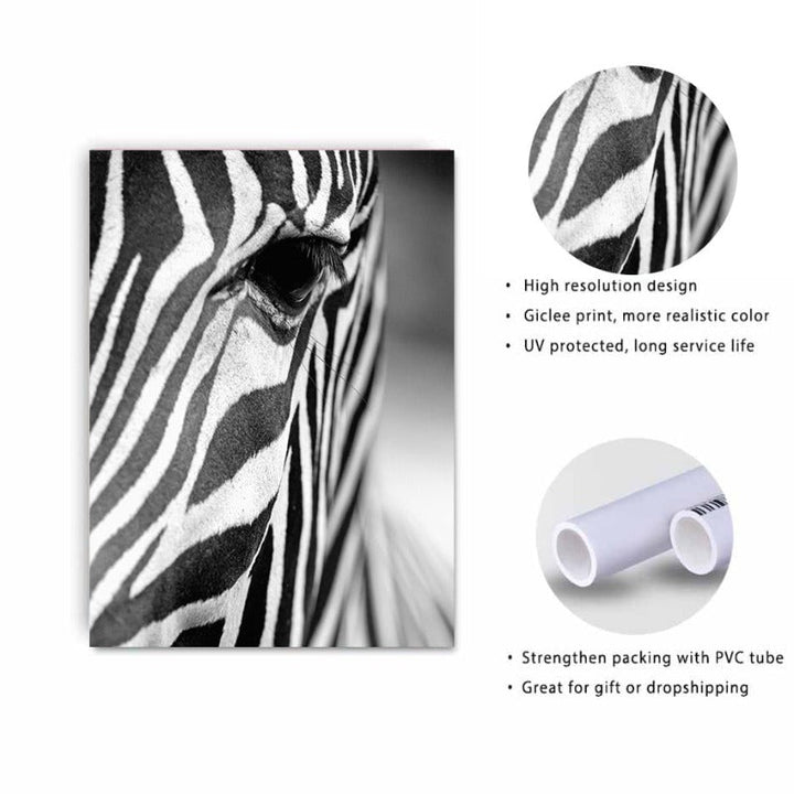 African Zebra - Canvas Wall Art Painting | Bowlift