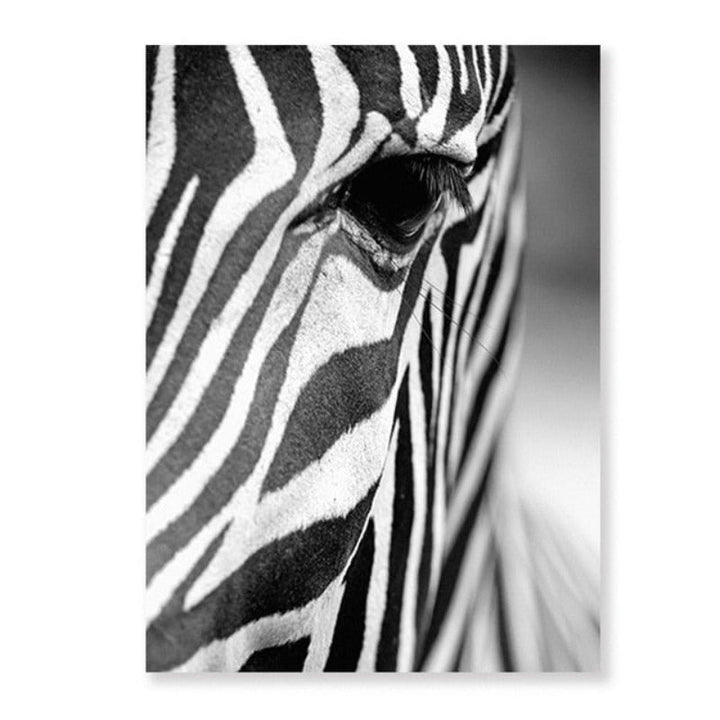 African Zebra - Canvas Wall Art Painting | Bowlift