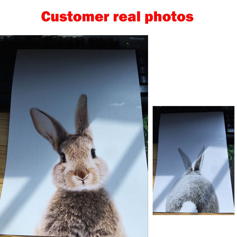 Rabbit BunnyTail Woodland Animal - Canvas Wall Art Painting | Bowlift